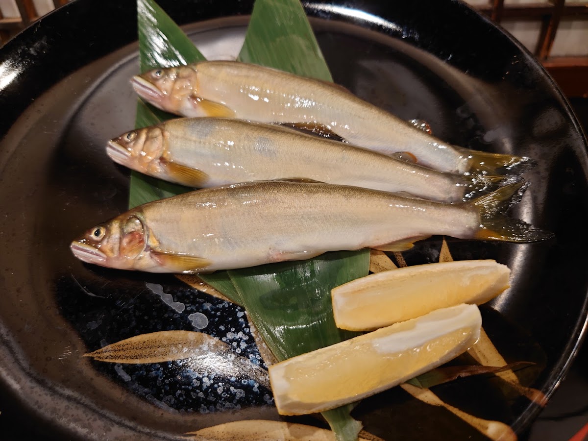 Akita